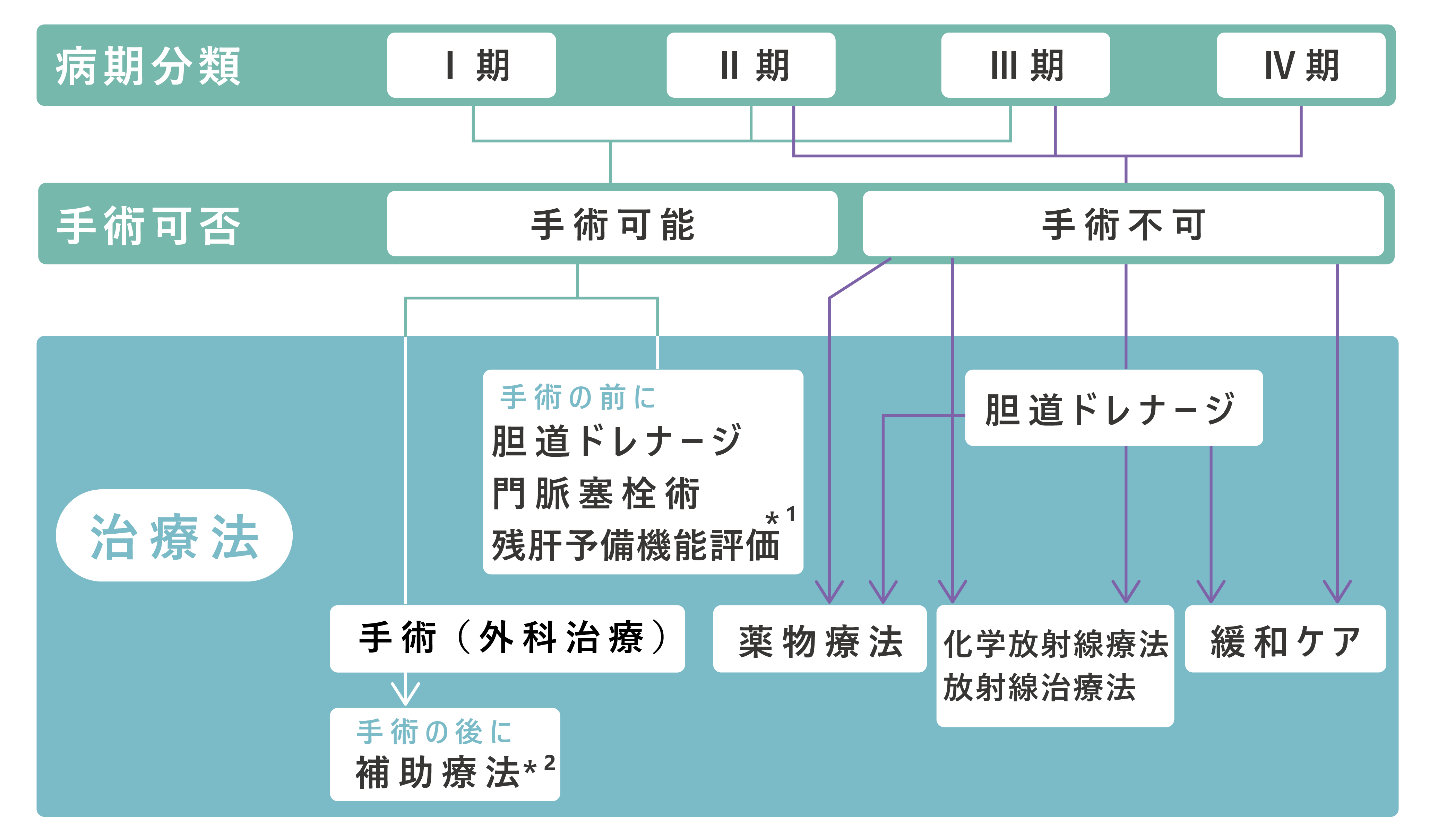 胆道がんの治療の選択