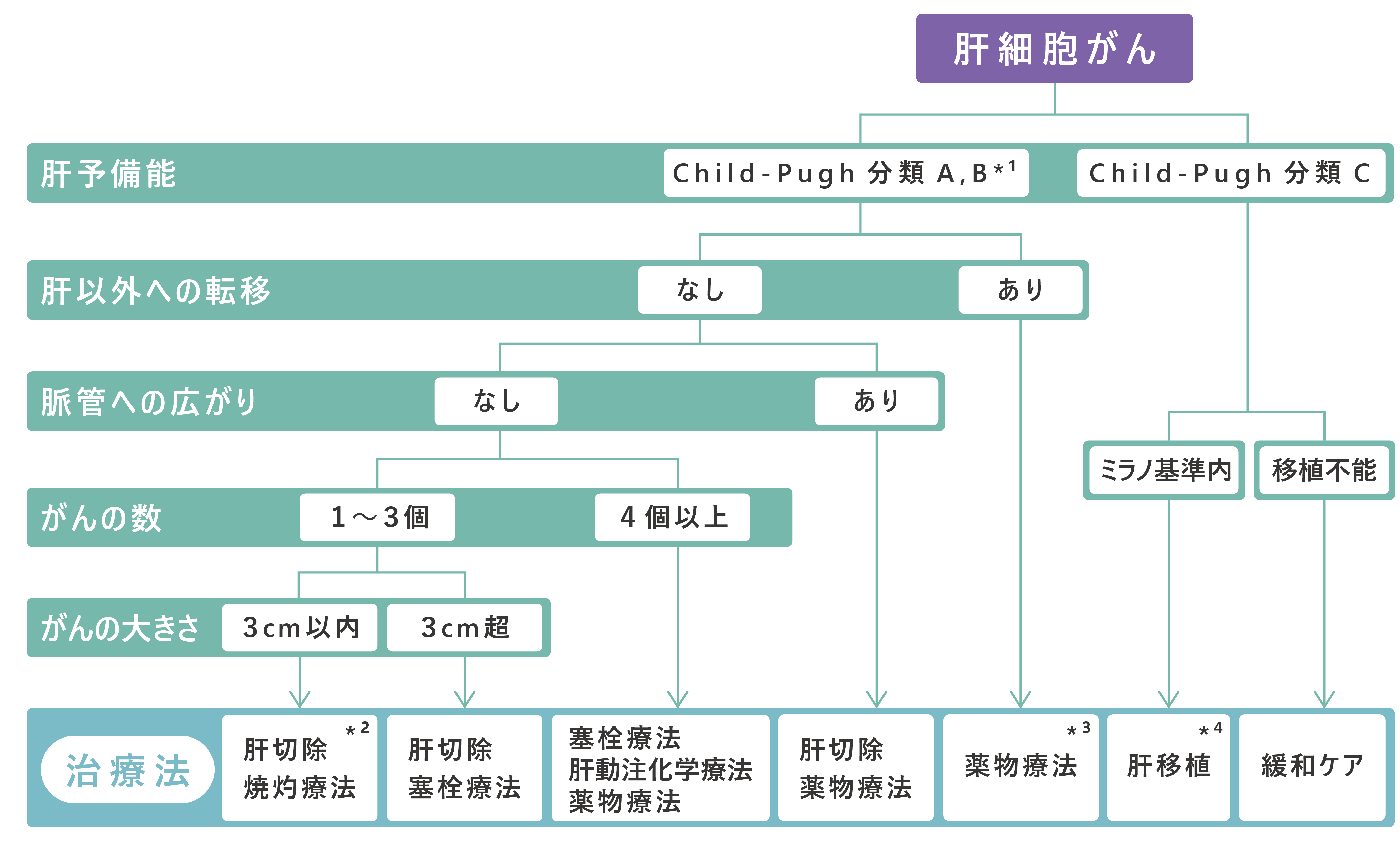 肝臓がんの治療の選択（肝癌診療ガイドライン）