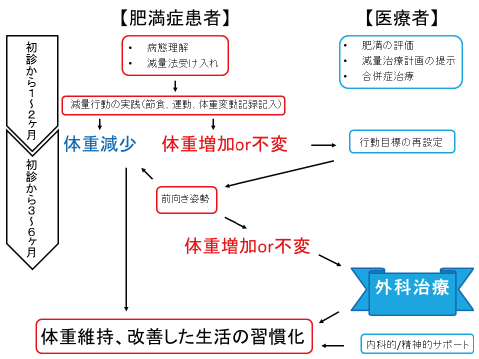 肥満症の総合的治療ガイド 2013　一部改変